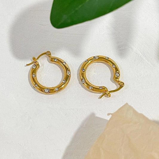 Stone Studded Earrings