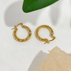 Stone Studded Earrings